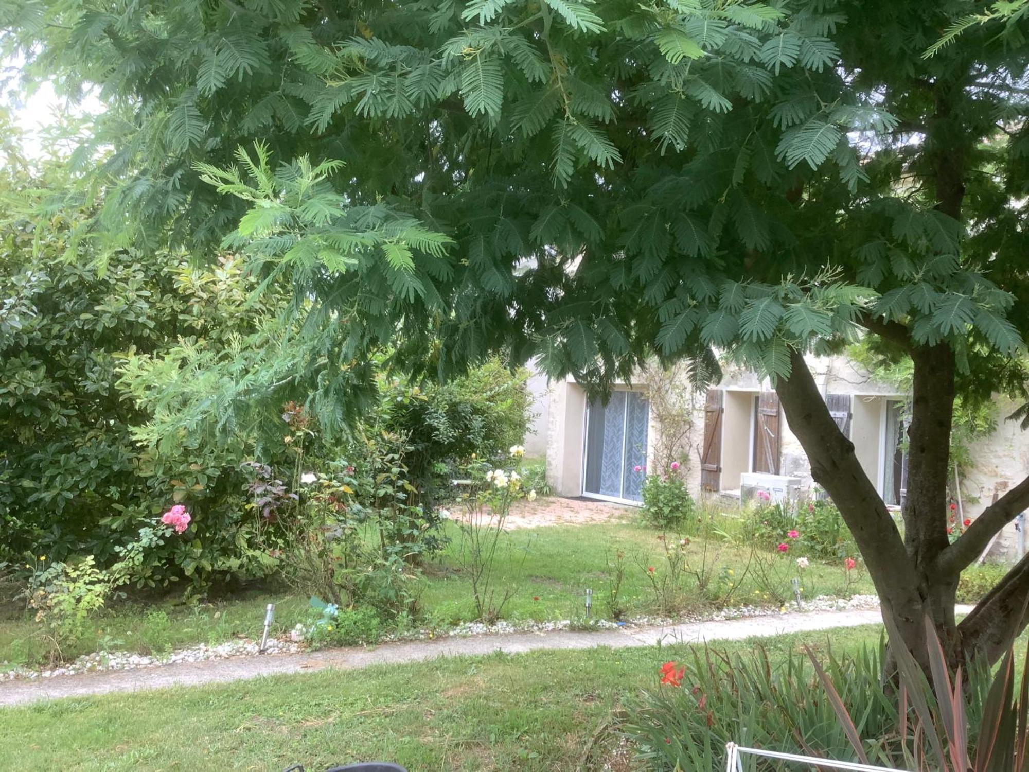 Augirons * Saint-Ciers-sur-Gironde